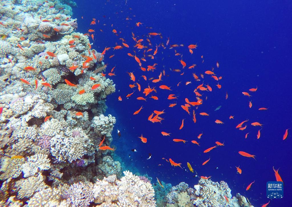 波克捕鱼水浒传版本